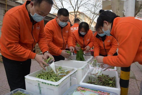 春節，他們在堅守——通信公司保障油田生產、服務礦區居民、力闖外部市場工作剪影